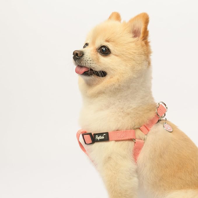 PUPTECK No Pull Dog Harness Large Sized Step-in Adjustable Puppy Vest | Soft Webbing Basic Halter with ID Tag for Outdoor Walking