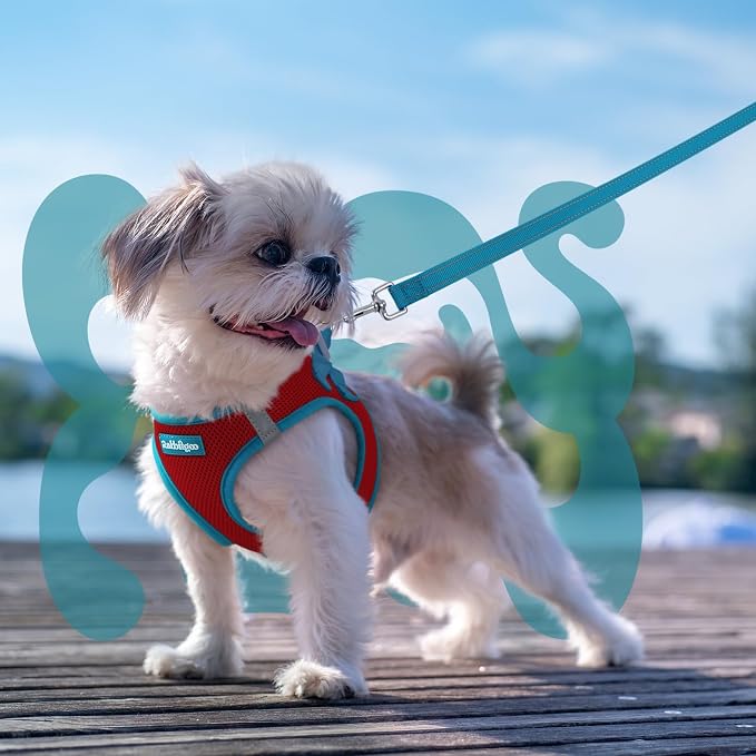 rabbitgoo Dog Harness Small Sized and Leash Set, Step in Soft Vest | Breathable Mesh, Easy Wear with Hook & Loop, Light and Reflective for Walking, Multi-colored, Red & Teal, S