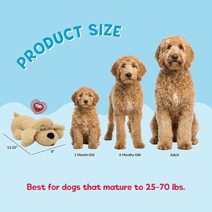 Snuggle Puppy Heartbeat Toy, Calming Comfort, Breed Buddies Goldendoodle | Calming for Goldendoodles and Poodle mixes; crate training comfort, heat pack, new puppy essentials, first nights