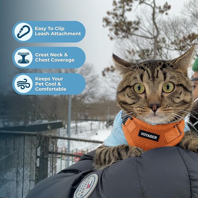 Voyager Escape-Proof Step-in Lock Cat Harness & 5ft Neoprene-Handle Leash Set All-Weather Mesh with Reflective Stitching for Small to Large Cats by Best Pet Supplies, Orange, XXXS