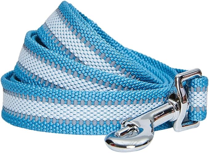 Blueberry Pet Essentials Reflective Better Basics Dog Leash, Sky Blue, 4 ft x 1", Large, Leashes for Dogs