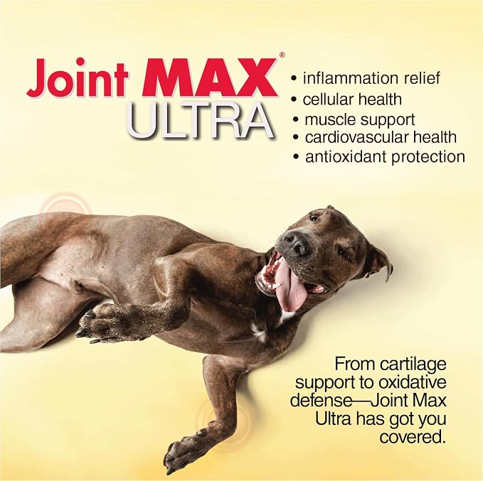Ultra Advanced Hip & Joint Support for Dogs – All-in-One Soft Chews with Glucosamine, MSM, Omega-3s (EPA & DHA), Hyaluronic Acid & Boswellia – Maximum Strength Mobility & Comfort – 120 Chews