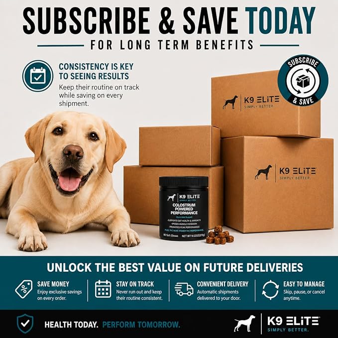 Hip & Joint Supplement for Dogs | Glucosamine, Chondroitin, Green Lipped Mussel, Colostrum, Collagen & Omega-3 | Daily Wellness, Mobility, Gut & Immune Support |