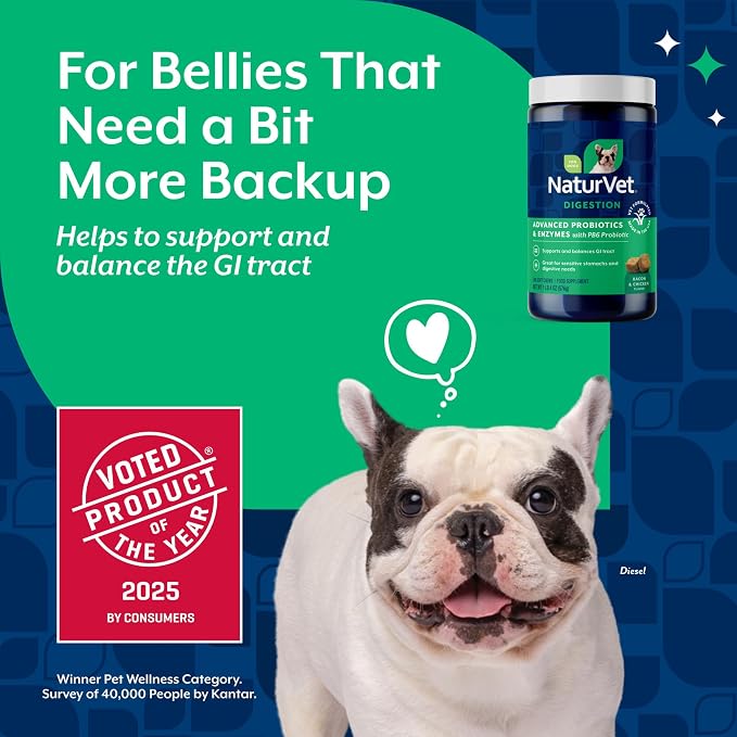 NaturVet Advanced Probiotics & Enzymes Chews for Dogs - 240ct
