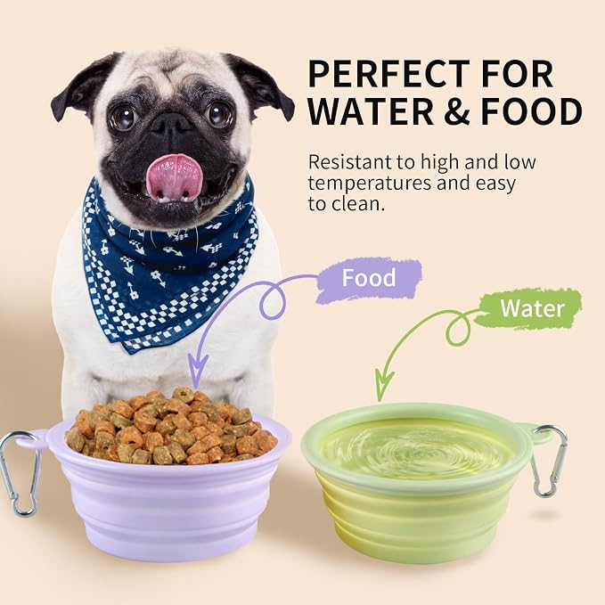 Collapsible Dog Bowls, 2 Pack, Macaron Violet & Green