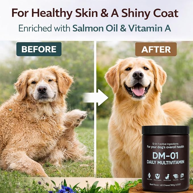 DM-01 Daily Multivitamin for Dogs, Dog Daily Multivitamin for Skin & Coat Health, Joint Support, Digestive Health, with Salmon Oil, Chondroitin, and Natural Vitamins, Beef Flavor, 60 Chews (1)
