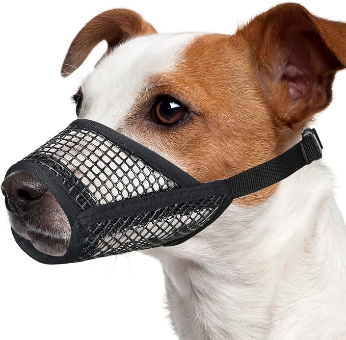 Dog Muzzle, Soft Mesh Muzzles for Medium Dogs Biting | Black, M | Corgi Beagle Puppy Muzzle for Chewing, Breathable Dog Mouth Guard for Grooming, Vet Visit, Trimming, Allows Panting Drinking