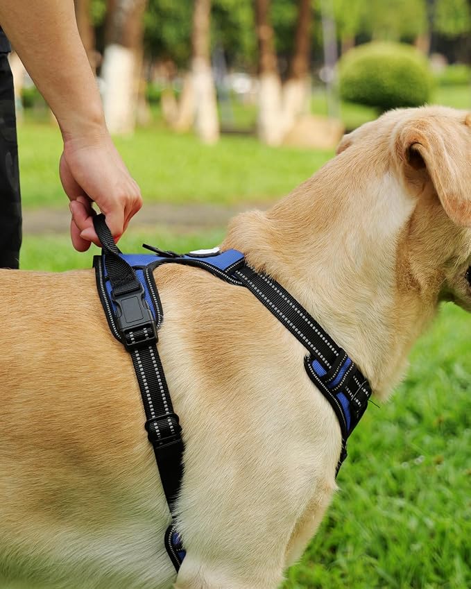 Joytale Dog Harness (Chest: 15-34"), Dog Collar and 6FT x 1" Wide Dog Leash Set, Reflective Neoprene Padded Collar and Leash, and Adjustable Soft Harness with Handle for Dogs