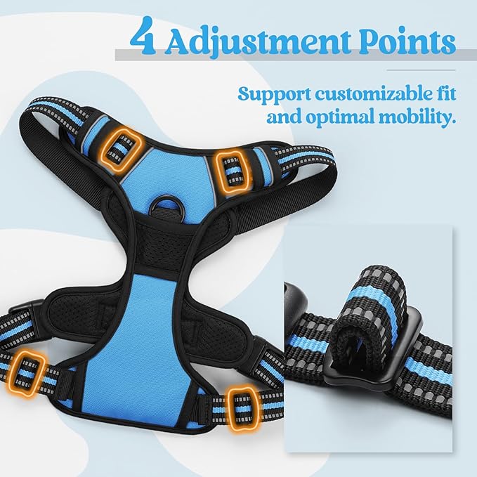rabbitgoo Dog Harness, No Pull for Large Dogs with 2 Leash Clips, Pet Vest | No Choke with Handle, Adjustable Soft Padded, Reflective, Easy Control for Walking, Blue, X-Large