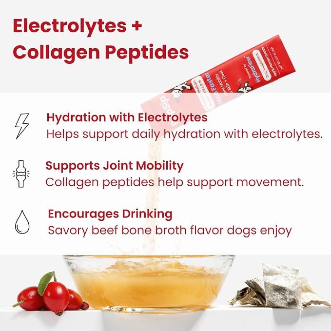 Electrolytes for Dogs with Protein – Hydration & Mobility Support with Collagen – Made with Real Beef Bone Broth – Dog Food Topper for Picky Eaters – 14 Sticks
