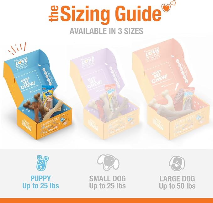 Nylabone Puppy Gift Box, Strong Chew Toys & Treat, Small, 4 Count | Flavor variety, 3 puppy toys & 1 natural treat dog bone, gifts for puppies, teething toys for small puppies up to 25 lbs