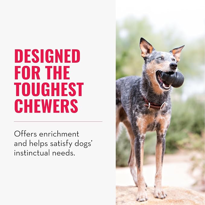 KONG Extreme Dog Toy, Durable Natural Rubber Chew, for Large Dogs | Treat-Filling Chew & Fetch Toy with Erratic Bounce, Made from KONG's Most Durable Natural Rubber for Power Chewers