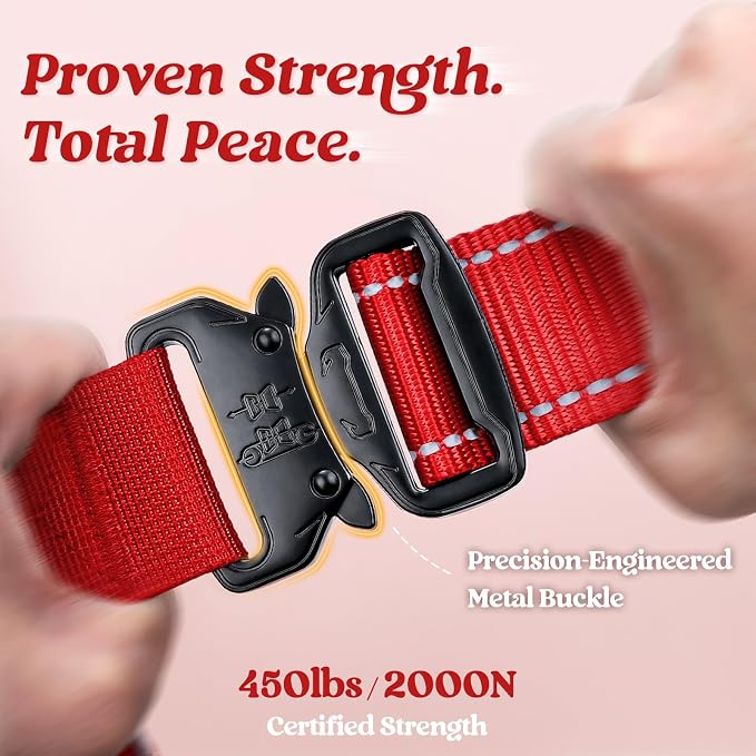 rabbitgoo Tactical Dog Harness for Small, Heavy Duty Military No Pull Vest | Sturdy Metal Buckles, 5 Adjustments, Molle System, Powerful Pullers for Training, Hunting, Outdoor, Red Reflex, Small