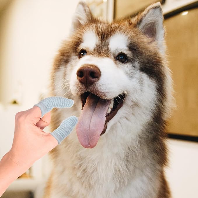Kisangel 10 Pcs Dog Finger Toothbrush Set for Large Dogs Soft Silicone Pet Toothbrushes in Yellow and Light Blue Oral Cleaning for Puppy