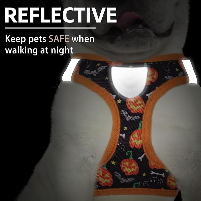 PUPTECK Adjustable Dog Harness Collar and Leash Set Step in No Pull Pet Harness for Small Medium Dogs Puppy and Cats Outdoor Walking Running, Soft Mesh Padded Reflective Vest Harnesses, Halloween, XXS