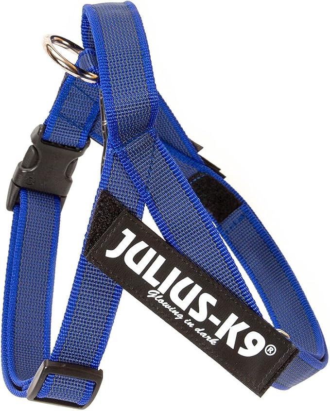 Julius-K9, 16IDC-MM-B-2015, IDC Color & Gray Belt Harness for Dogs, Size: Mini-Mini, Blue-Gray