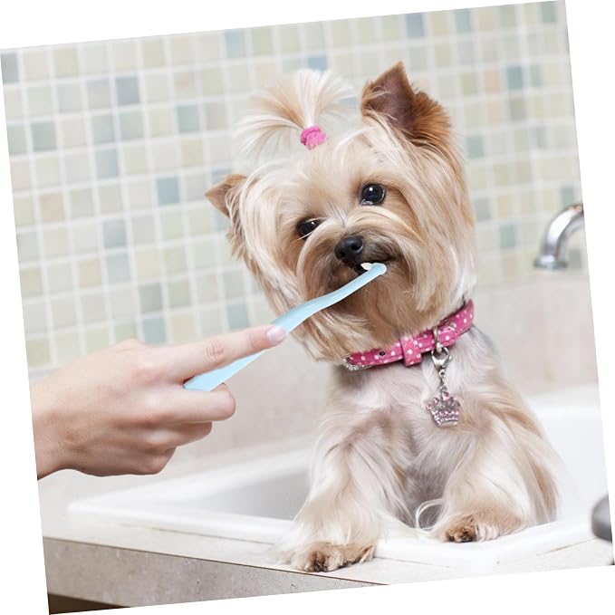 Pointed Head Pet Toothbrush for Cats and Dogs Soft Bristle Oral Care Tool for Small Breeds Bad Breath Control Ergonomic Handle for Easy Use Pet Supply