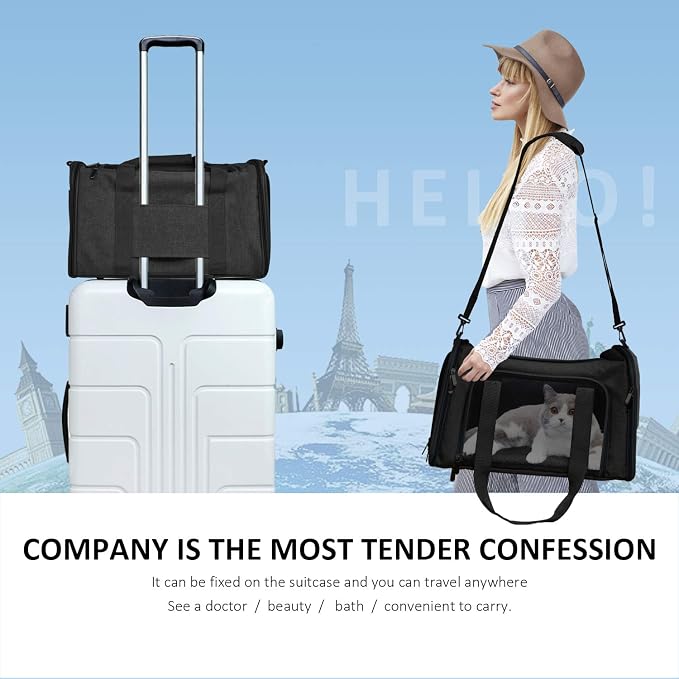 Henkelion Cat & Dog Carrier, Small/Medium Up to 15 lbs, TSA Airline Approved, Waterproof, Black