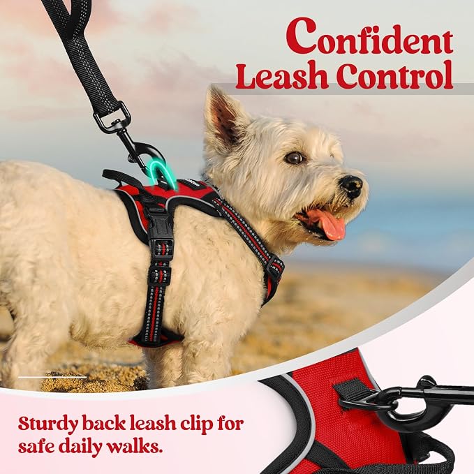 rabbitgoo Dog Harness, No Pull for Small Dogs with 2 Leash Clips, Pet Vest | No Choke, Adjustable, Breathable Padded, 2 Lead Rings, Reflective, Easy Control for Walking Training, XS, Red