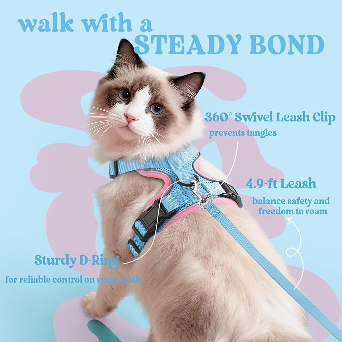 rabbitgoo Cat Harness and Leash Set, Escape Proof Vest, Light Blue & Pink | Soft Breathable Mesh, Easy Adjustable Fit, Snap Buckles, Sturdy Clip, Reflective Strips, for Average Cats Walks, S