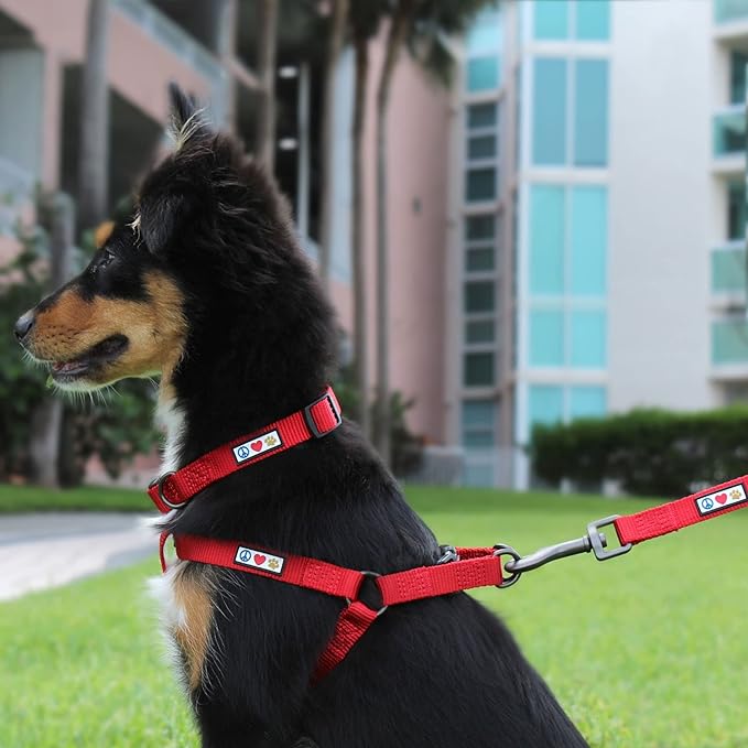Pawtitas Solid Step-in Dog Harness – Adjustable No-Pull Vest for Puppies to Seniors, Safe & Comfortable S Black