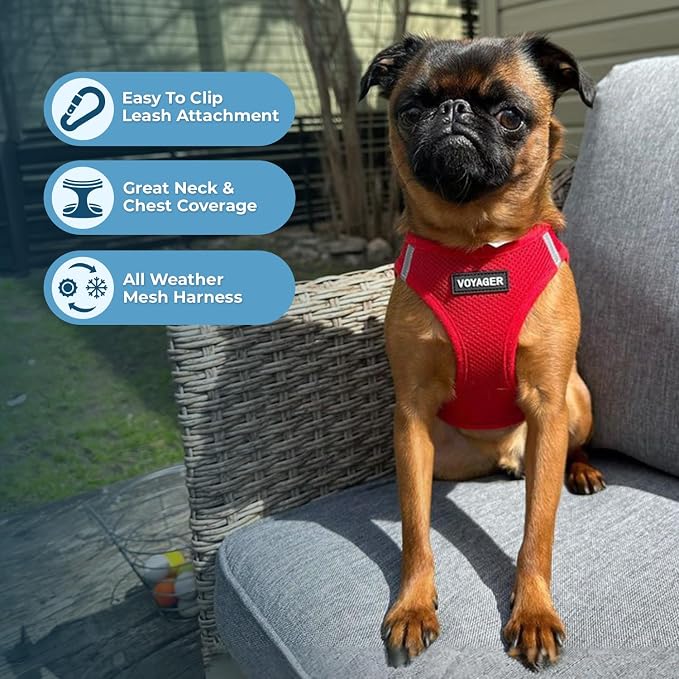 Best Pet Supplies Voyager Step-in Air All Weather Mesh Harness and Reflective Dog 5ft Leash Combo with Neoprene Handle, for Small, Medium and Large Breed Puppies - Red, Large