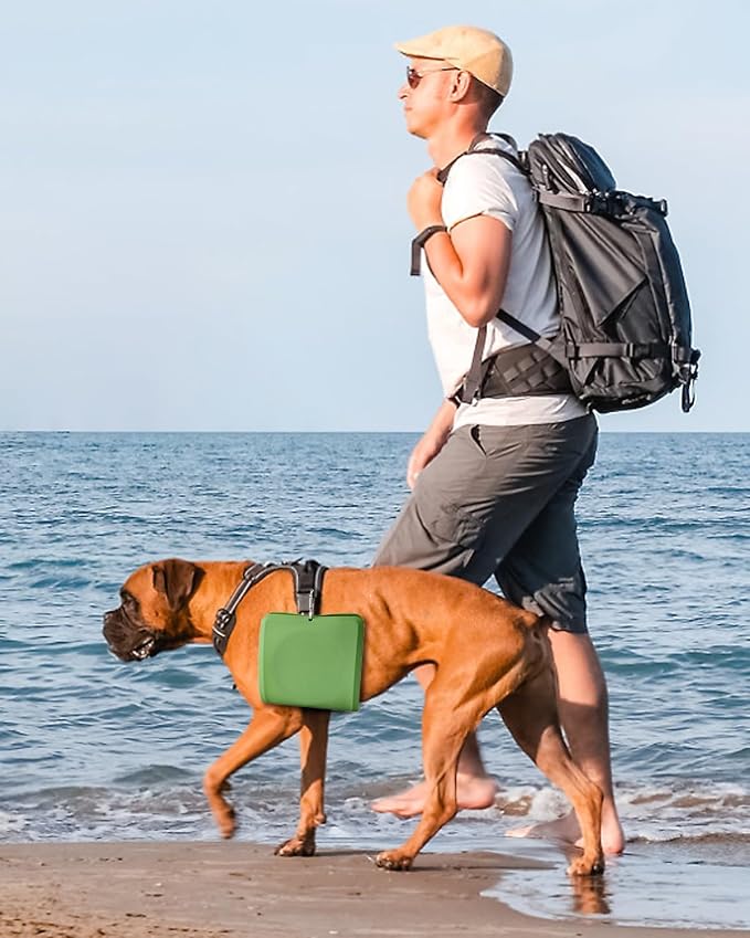 Collapsible Portable 2-in-1 Dog Bowl with Carabiner, Green