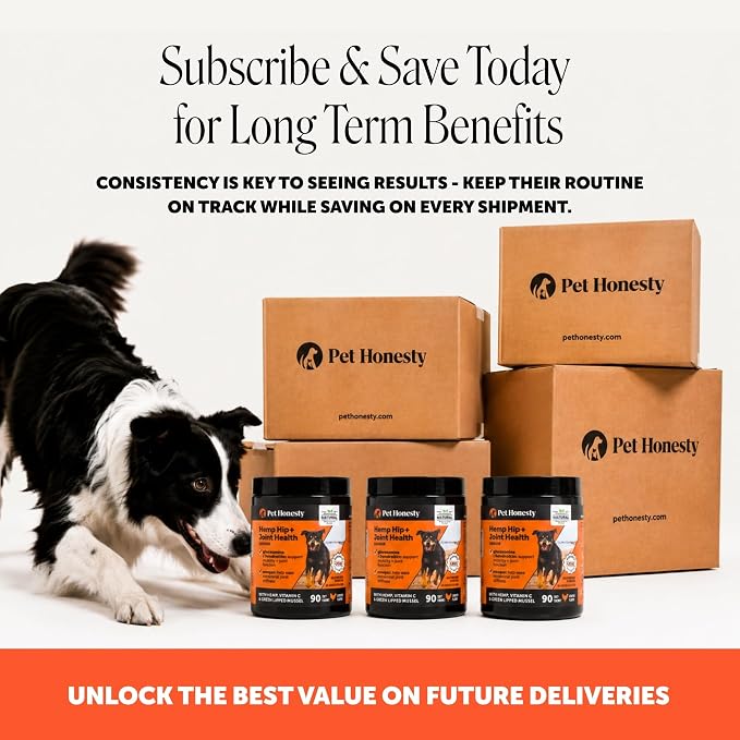 Pet Honesty Vet Recommended Hip and Joint Supplement for Dogs, 90 Count | Advanced strength dog joint supplement with glucosamine chondroitin, chicken, supports mobility, eases stiffness