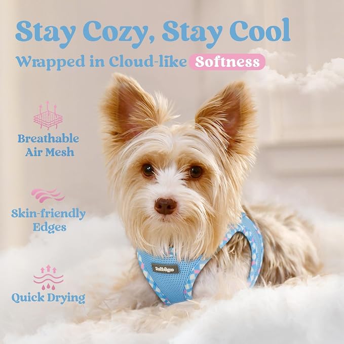 rabbitgoo Step-in Small Dog Harness, Puppy Vest for Small Sized Pet | Easy Put on and off, Lightweight, Soft, Breathable Quick-Dry Air Mesh for Comfortable Secure Walking, Blue & Plaid Trim S