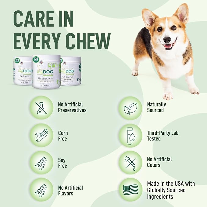 Probiotics for Dogs – 120 Soft Chews, Bacon Flavor | Digestive Enzymes, Gut Health & Immune Support with Pumpkin Seed & Ginger | for All Breeds