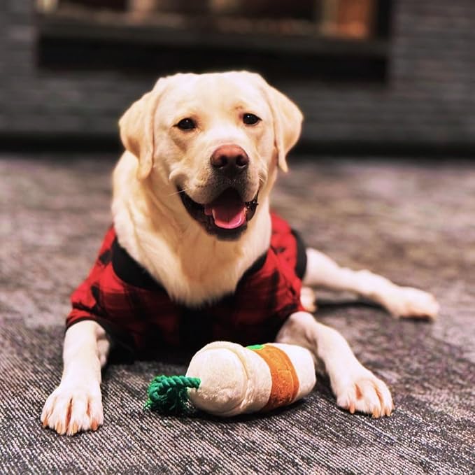 CHEWFFON Squeaky Dog Toy, Interactive Plush Tug & Treat Toy | Coffee Cup Design, Crinkle Sound for Boredom, Side Pocket, Enrichment Fun for Small Medium Large Dogs