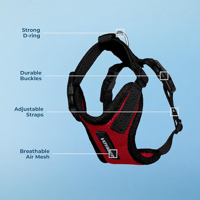 Voyager Step-in Lock Dog Harness - Red/Black Trim, X-Large | 23 - 28" in Chest, Adjustable, Breathable Air Mesh, Lightweight for Daily Walks, Strong Clips, Heavy Duty D-Ring
