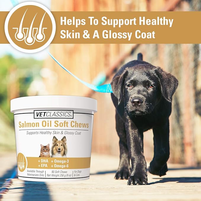 Vet Classics Salmon Oil Supplement for Dog & Cat Healthy Skin - 90 Ct