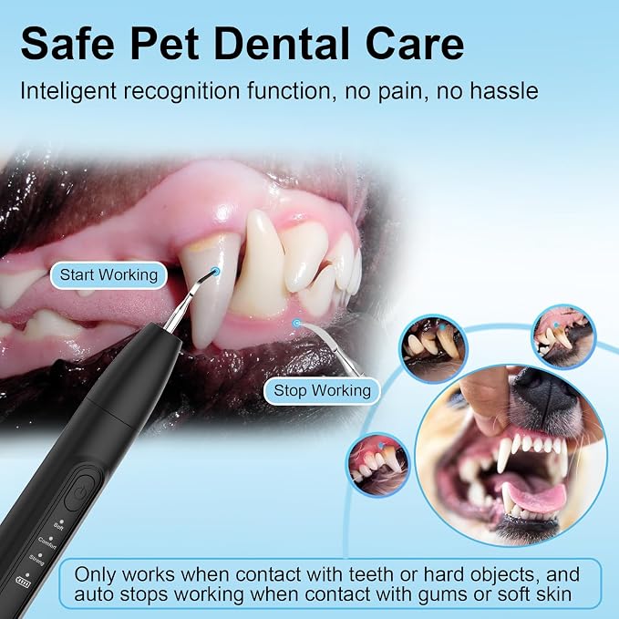 Ultrasonic Dog Plaque Remover Tool, 3 Modes Plaque and Tartar Remover for Dogs, Low Noise Sonic Dog Tartar Remover Dogs Plaque Remover with Toothbrush 2 Cleaning Head for Pet Dental Care, Black