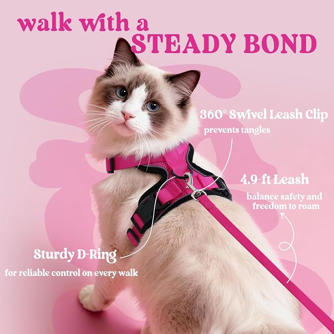 rabbitgoo Cat Harness and Leash Set, Escape Proof Vest, Rose Red | Soft Breathable Mesh, Easy Adjustable Fit, Snap Buckles, Sturdy Clip, Reflective Strips, for Small & Average Cats Walks, Xs