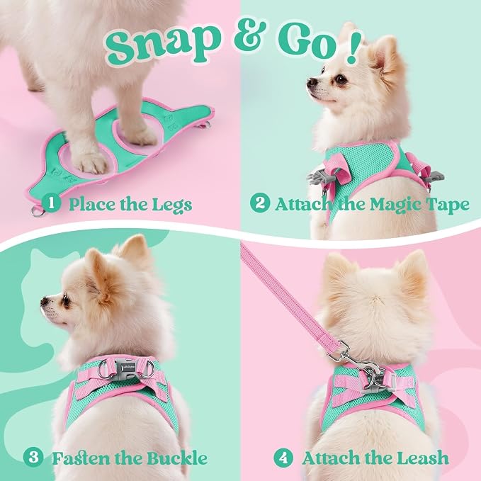 rabbitgoo Dog Harness Small Sized and Leash Set, Step in Soft Vest | Breathable Mesh, Easy Wear with Hook & Loop, Light and Reflective for Walking, Multi-colored, Teal & Pink, XS