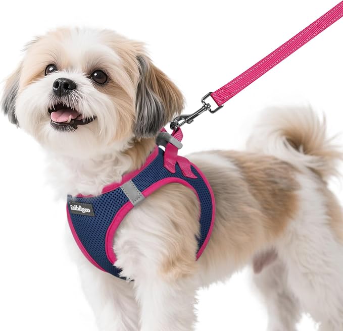 rabbitgoo Dog Harness Small Sized and Leash Set, Step in Soft Vest | Breathable Mesh, Easy Wear with Hook & Loop, Light and Reflective for Walking, Multi-colored, Navy Blue & Rose Red, S