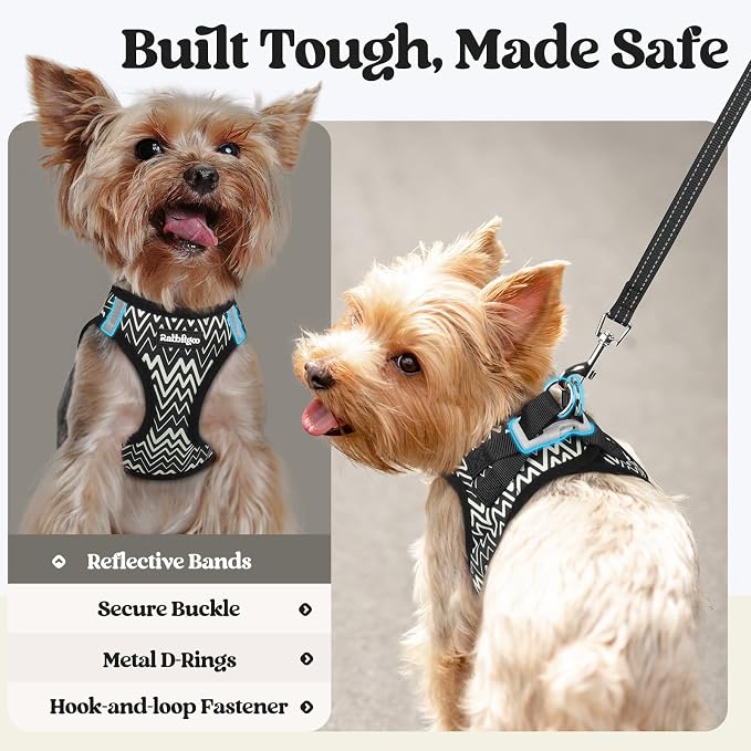 rabbitgoo Dog Harness Small Sized and Leash Set, Step-in Puppy Pet Vest | Light, Soft, Breathable Air Mesh, Easy on and Remove with Hook & Loop, Secure Reflective for Walking, Black Zigzag M