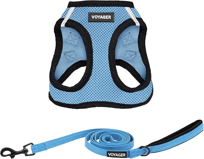 Voyager Step-in Air All Weather Mesh Harness and Reflective Dog 5 ft Leash Combo with Neoprene Handle, for Small, Medium and Large Breed Puppies by Best Pet Supplies - Blue, X-Large