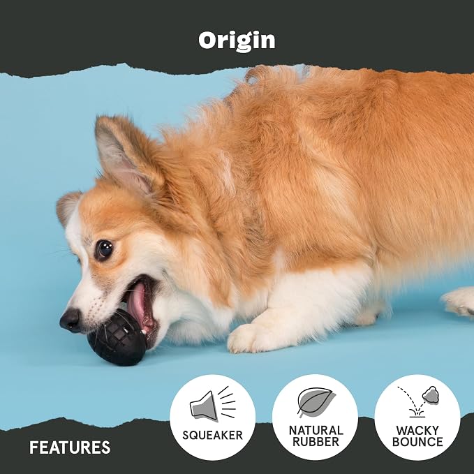BarkBox Origin Super Chewer - Toy for Small Dogs | Durable Dog Toy for Aggressive Chewers - Treat Dispensing Chew