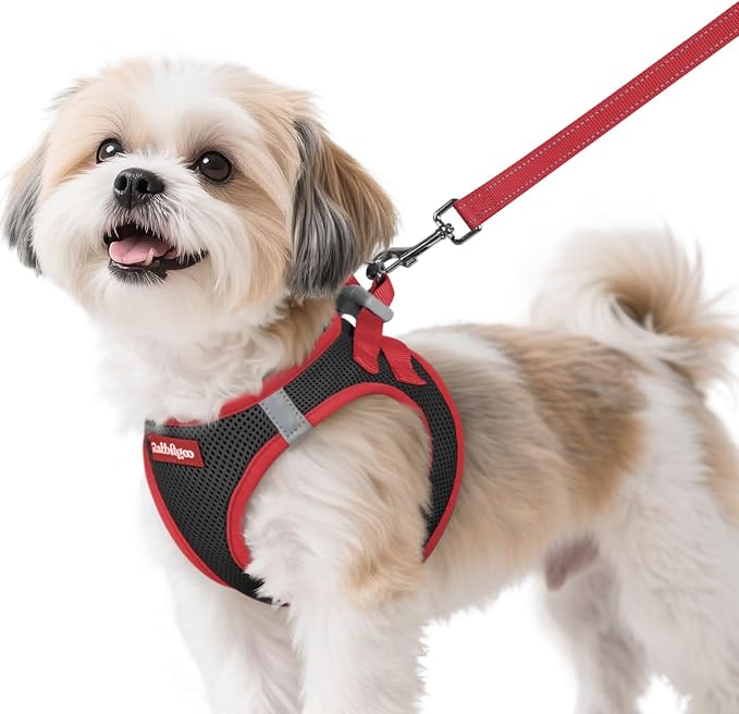rabbitgoo Dog Harness Small Sized and Leash Set, Step in Soft Vest | Breathable Mesh, Easy Wear with Hook & Loop, Light and Reflective for Walking, Multi-colored, Black & Red, S