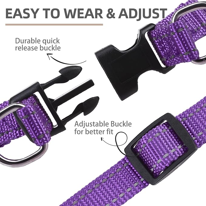PUPTECK No Pull Dog Harness Small Sized Step-in Adjustable Puppy Vest | Soft Webbing Basic Halter with ID Tag for Outdoor Walking