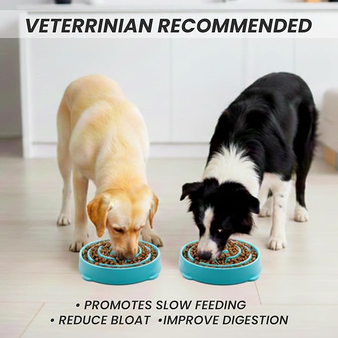 Slow Feeder Dog Bowl for Small, Medium & Large Dogs – Anti-Gulping Puzzle Maze Bowl, Non-Slip Slow Eating Dog Dish, Prevents Bloat & Improves Digestion, Interactive Pet Feeder (Blue, Large)