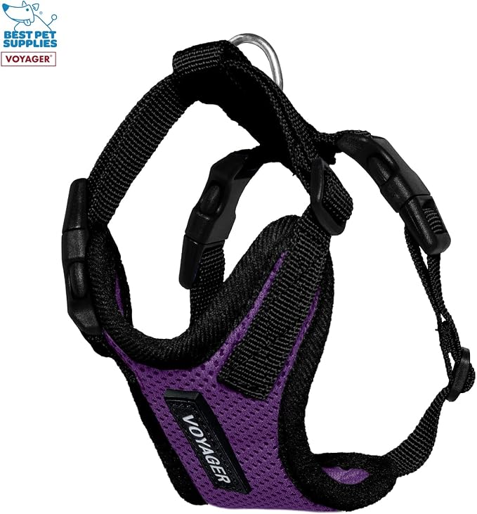 Best Pet Supplies Voyager Step-in Lock Pet Harness w Reflective Pet Leash Combo Set with Neoprene Handle 5ft - Supports Small, Medium and Large Breed Puppies/Cats - Purple/Black Trim, XXXS