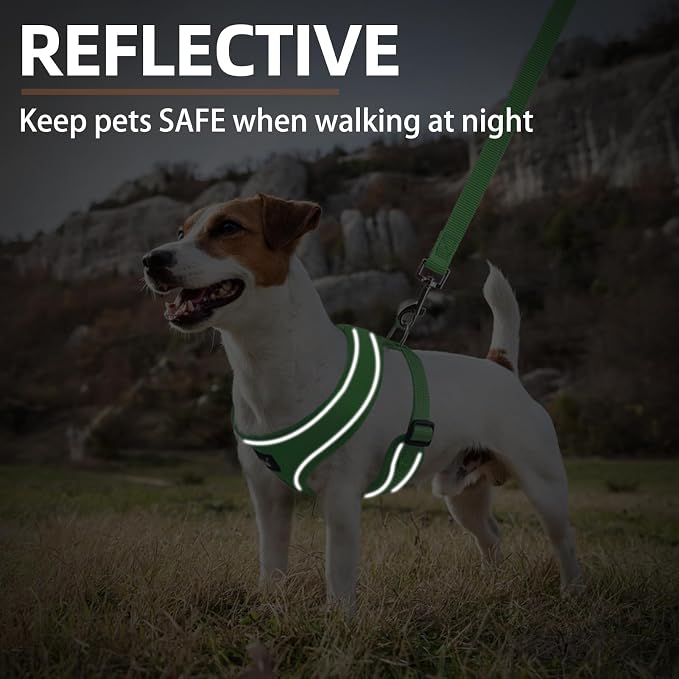 PUPTECK Soft Mesh Dog Harness and Leash Set Pet Puppy Cat Comfort Padded Vest No Pull Harnesses, Solid Green, S