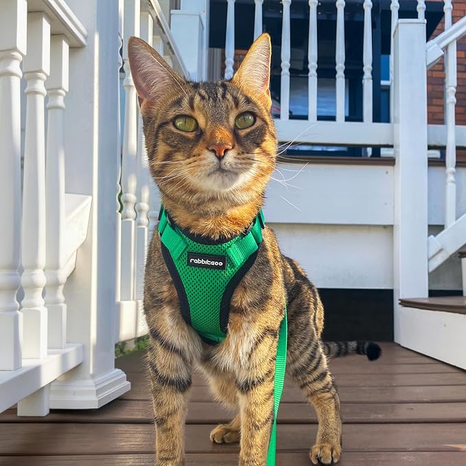 rabbitgoo Cat Harness and Leash Set, Escape Proof Vest, Grass Green | Soft Breathable Mesh, Easy Adjustable Fit, Snap Buckles, Sturdy Clip, Reflective Strips, for Kittens & Small Cats Walks, Xxs