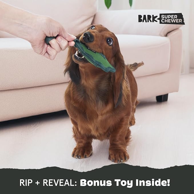 Barkbox Green Chew Leaf Dog Toy for Small Dogs – 2-in-1 Design with Mixed Textures and Surprises, Perfect for Tough Chewing and Playful Pups | Design with Mixed Textures and Surprises, Perfect for Tough Chewing and Playful Pups