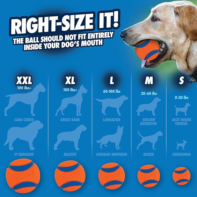 Chuckit! Ultra Ball Dog Toy, Medium, 2.5in, 2-Count, Pack of 6