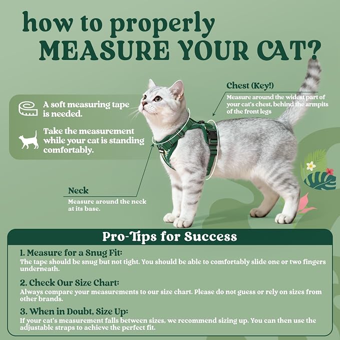 rabbitgoo Cat Harness and Leash Set, Escape Proof Vest, Rainforest Green | Soft Breathable Mesh, Easy Adjustable Fit, Snap Buckles, Sturdy Clip, Reflective Strips, for Small & Average Cats Walks, Xs