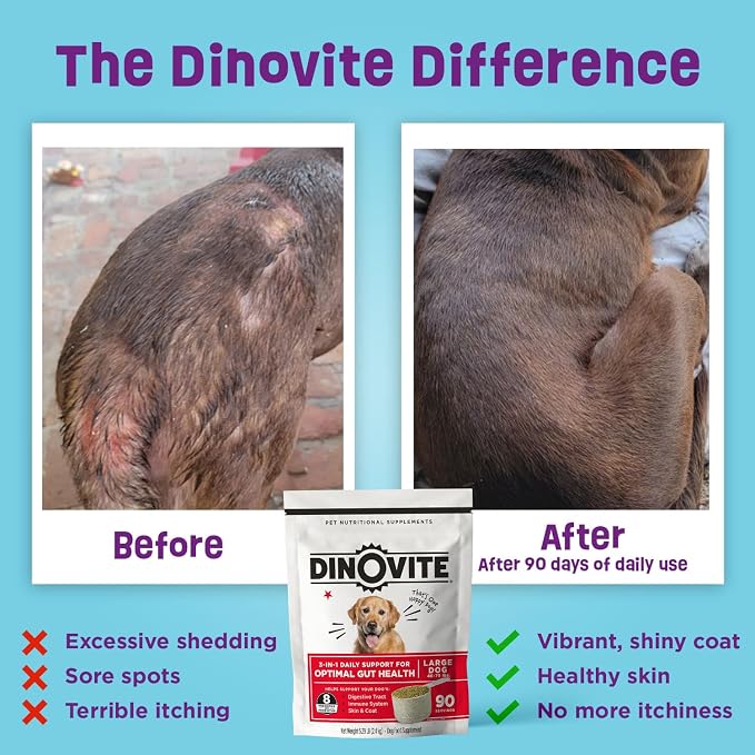 Dinovite Probiotics for Medium Dogs, Probiotic Food Topper, 90 Servings